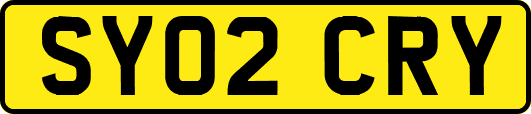 SY02CRY