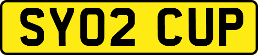 SY02CUP