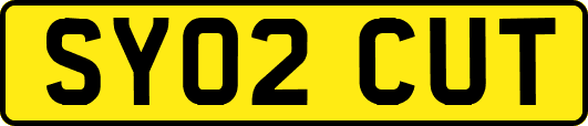 SY02CUT