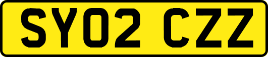 SY02CZZ