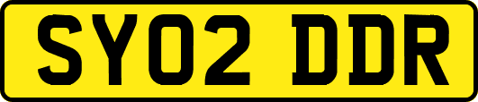 SY02DDR
