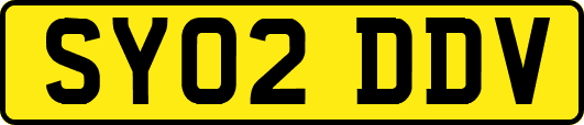 SY02DDV