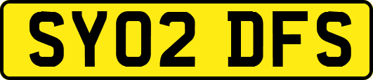 SY02DFS