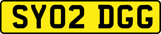 SY02DGG
