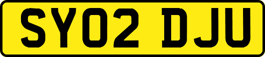 SY02DJU