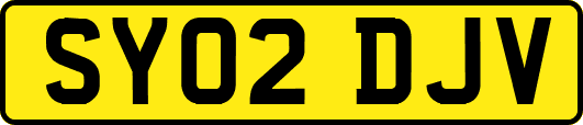 SY02DJV