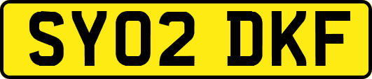 SY02DKF