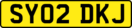 SY02DKJ