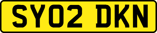 SY02DKN