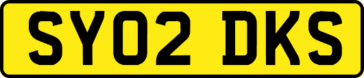 SY02DKS