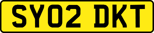 SY02DKT