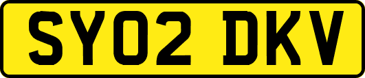 SY02DKV