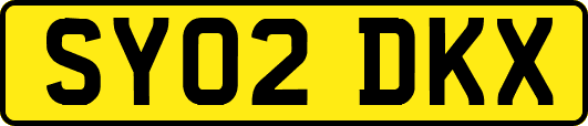 SY02DKX