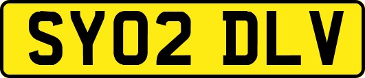 SY02DLV