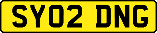 SY02DNG