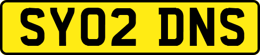 SY02DNS