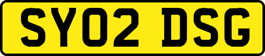 SY02DSG