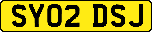 SY02DSJ
