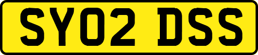 SY02DSS
