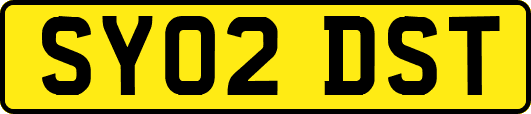 SY02DST