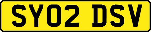 SY02DSV