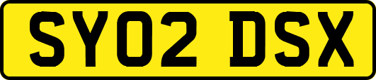 SY02DSX