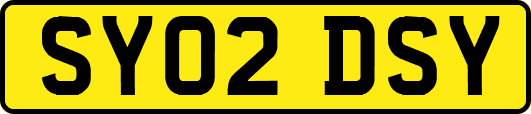 SY02DSY