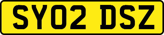 SY02DSZ