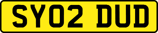SY02DUD
