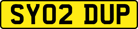 SY02DUP
