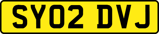 SY02DVJ