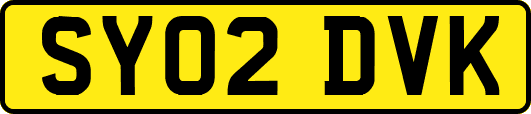 SY02DVK