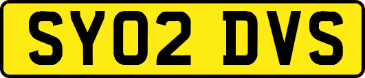 SY02DVS