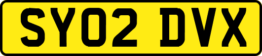 SY02DVX