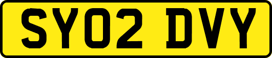 SY02DVY