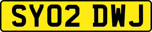 SY02DWJ