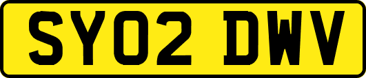 SY02DWV