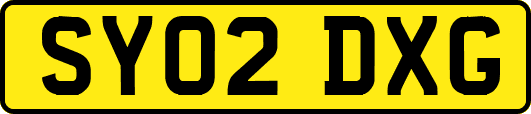 SY02DXG