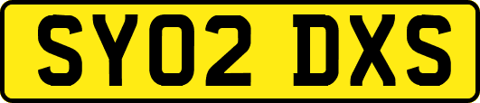 SY02DXS