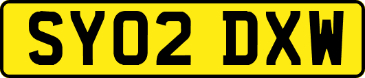 SY02DXW
