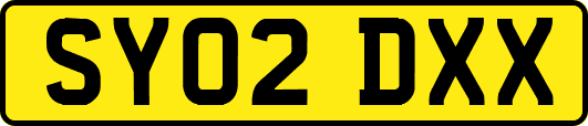 SY02DXX
