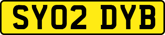 SY02DYB