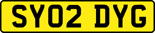SY02DYG