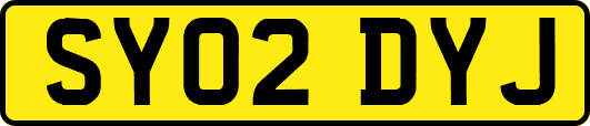 SY02DYJ