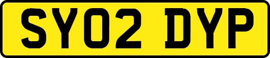 SY02DYP