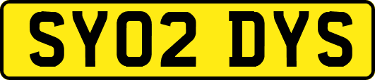 SY02DYS
