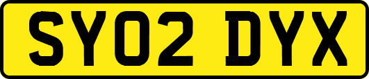 SY02DYX