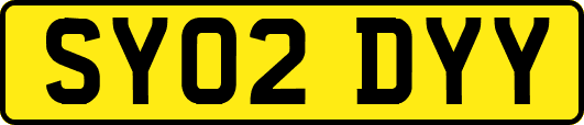 SY02DYY