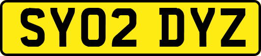SY02DYZ