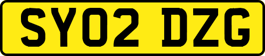 SY02DZG
